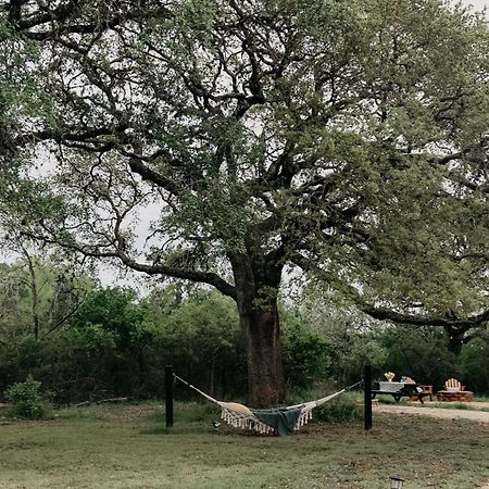 The Maverick: A-Frame W/ Hammock And Tree Top View New Braunfels Ngoại thất bức ảnh